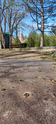 Прикрепленное изображение: IMG_20230408_102911.jpg